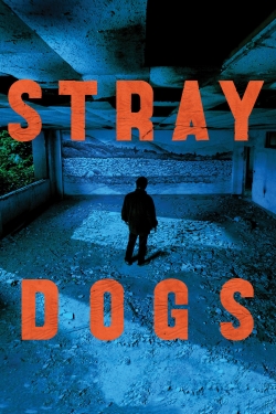 Stray Dogs