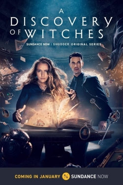 A Discovery of Witches